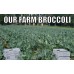 SPRAY FREE BROCCOLI 2 For $4.50 Katikati Grown